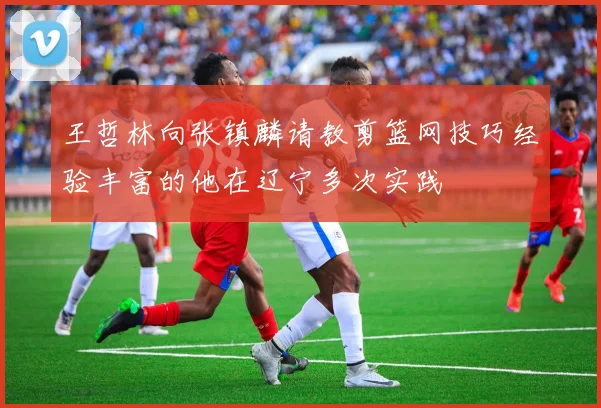 王哲林向张镇麟请教剪篮网技巧经验丰富的他在辽宁多次实践