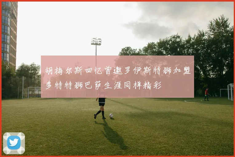 胡梅尔斯回忆曾邀罗伊斯特狮加盟多特特狮巴萨生涯同样精彩